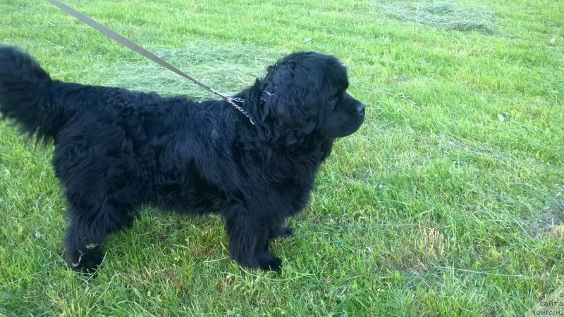 Фотография № 226363