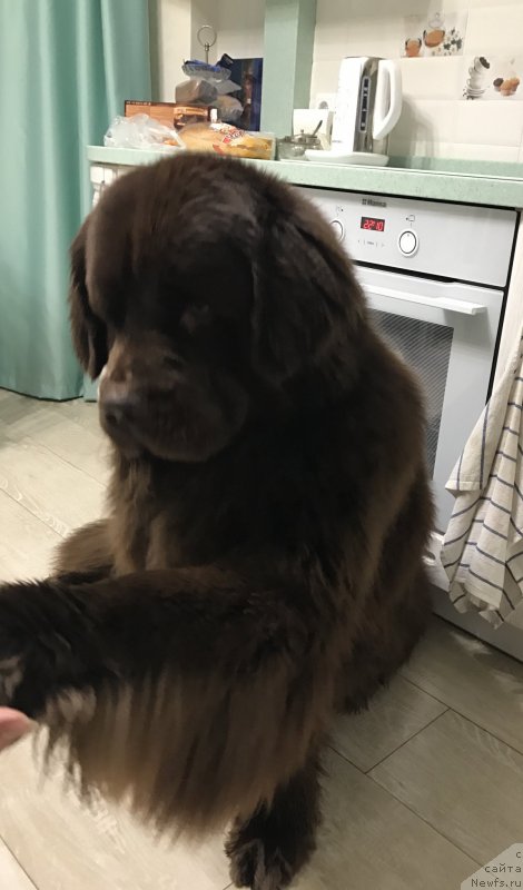 Фотография № 226373