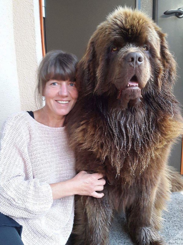 Фотография № 226430