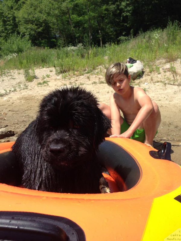 Фотография № 226435