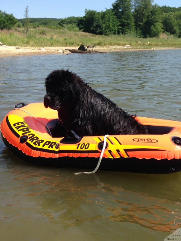 Фотография № 226436