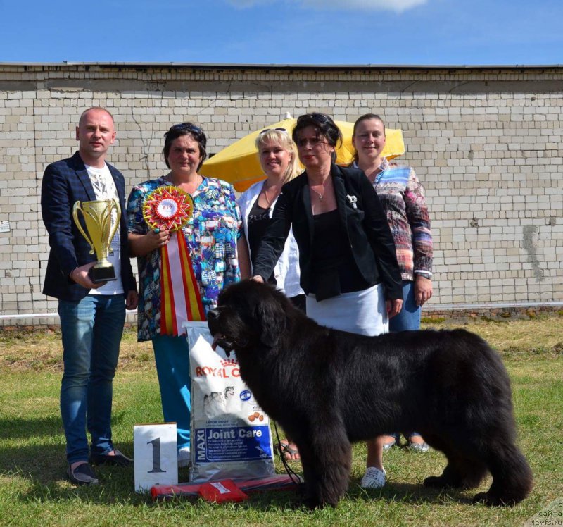 Фотография № 226442