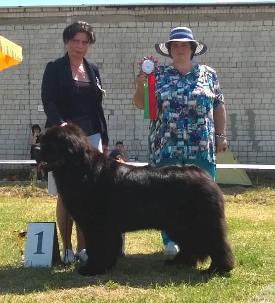 Фотография № 226443