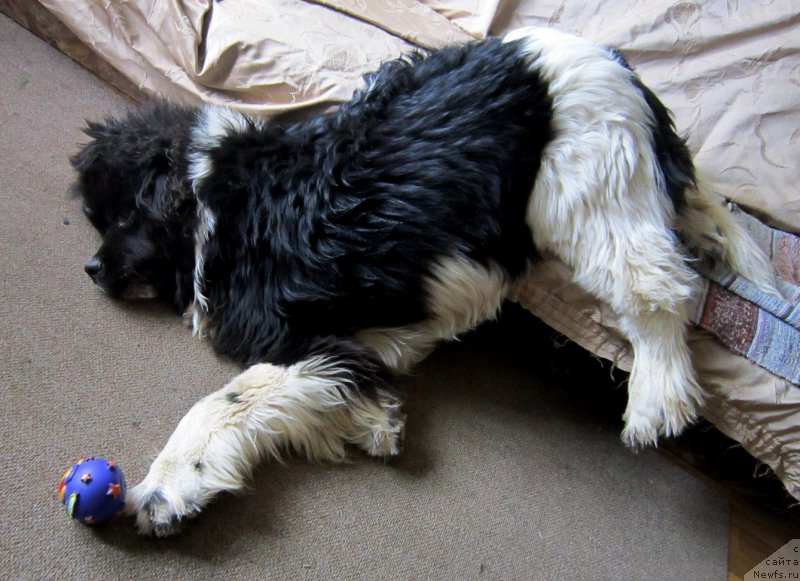 Фотография № 226444