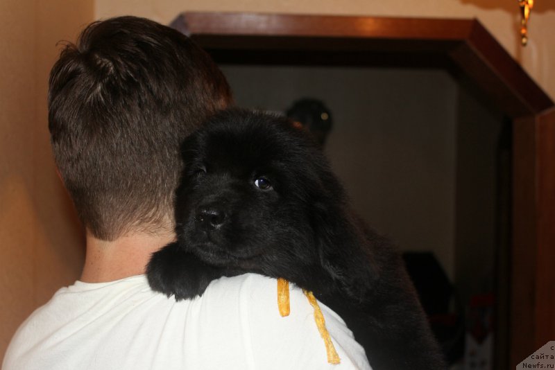 Фотография № 226468