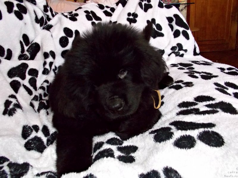 Фотография № 226472