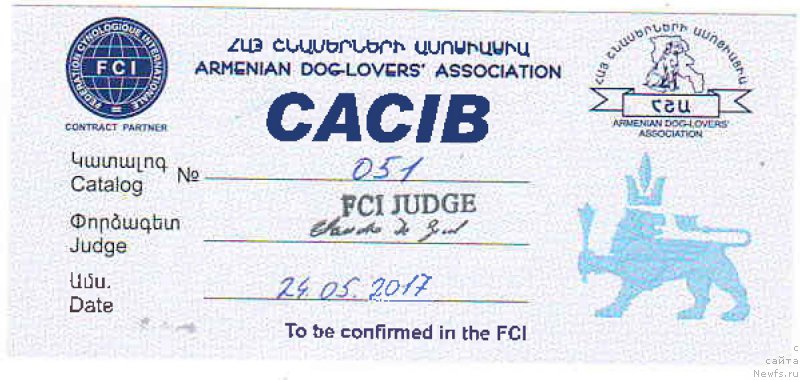 Фото: ньюфаундленд Браунблад МСК Хаким Голд Хайдар (Brownblood MSK Hakim Gold Haydar)