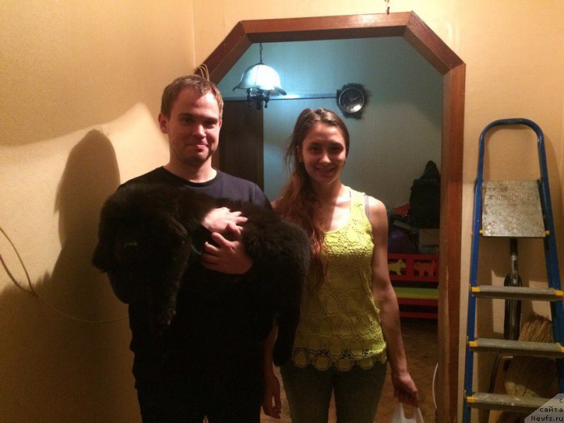 Фотография № 226507