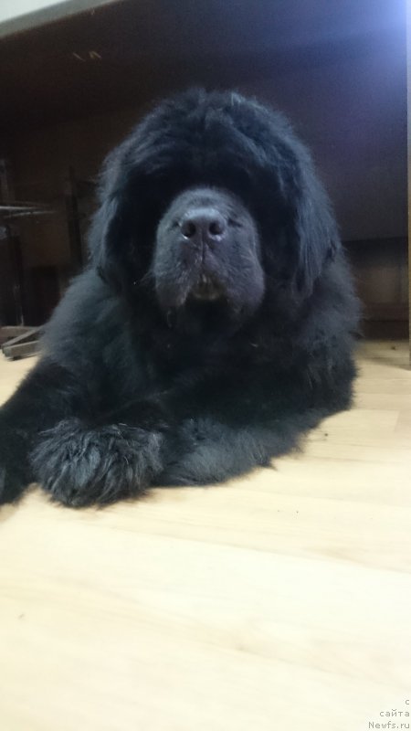 Фотография № 226523