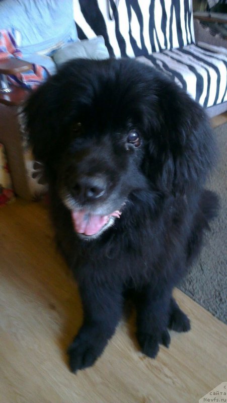 Фотография № 226551