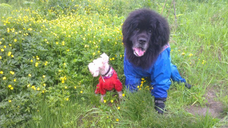 Фотография № 226553