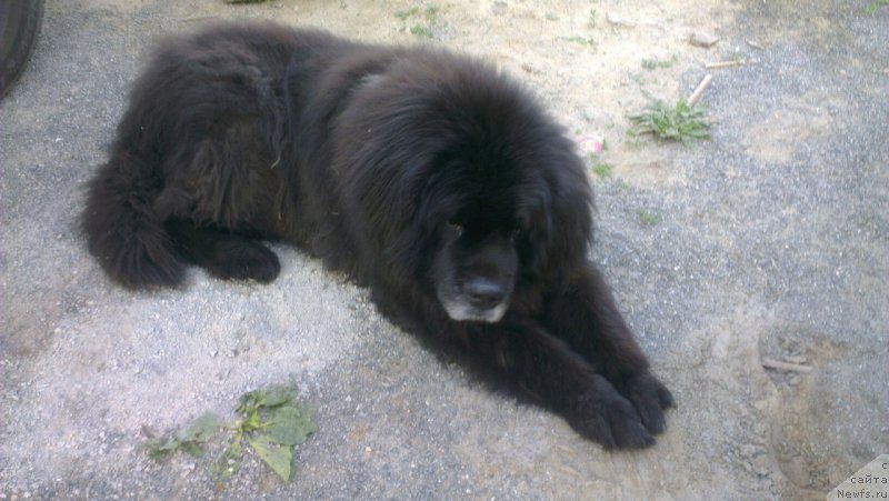 Фотография № 226554