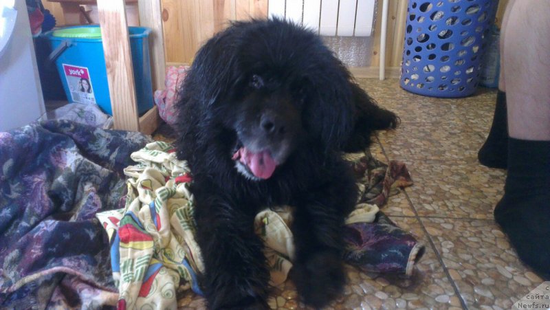 Фотография № 226555