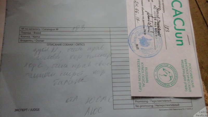 Фотография № 226561