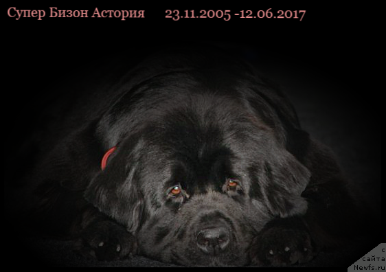 Фотография № 226567