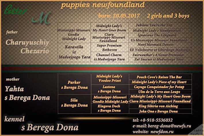 Фотография № 226591