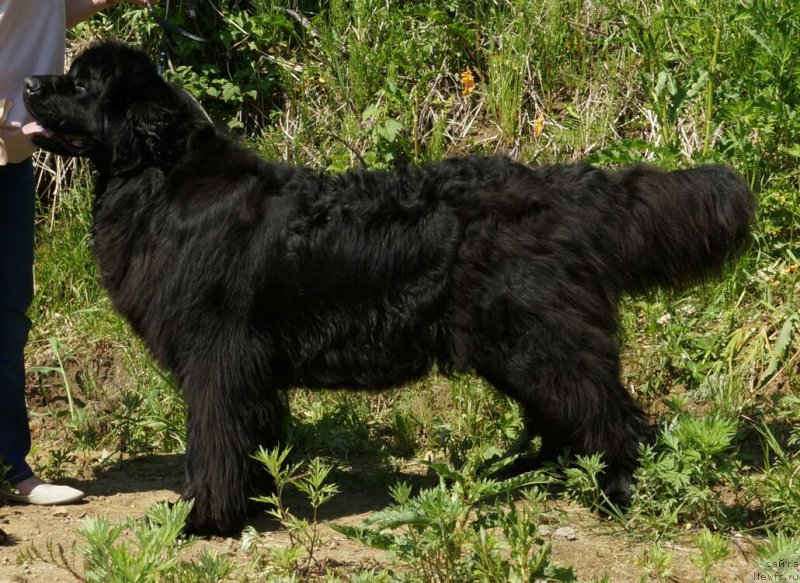 Фотография № 226592