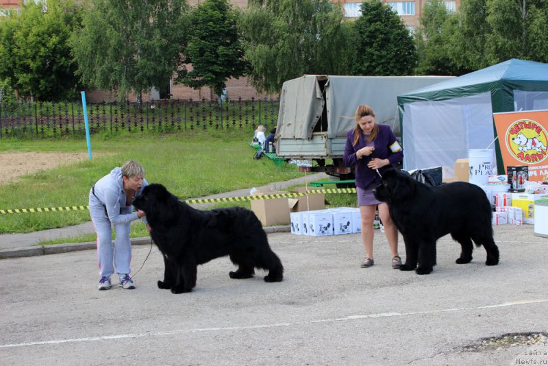 Фотография № 226596