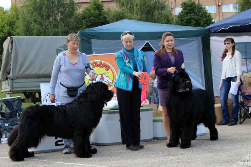 Фотография № 226597