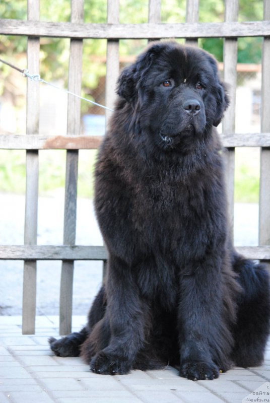 Фотография № 226604