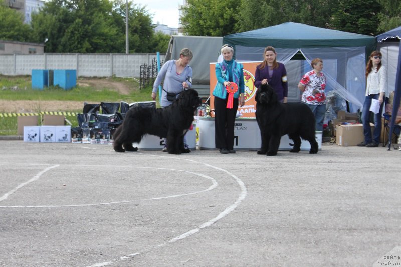 Фотография № 226611