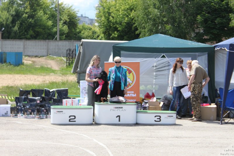 Фотография № 226619