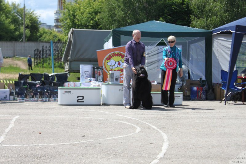 Фотография № 226624