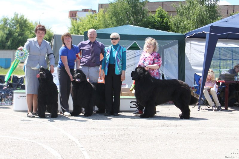 Фотография № 226626