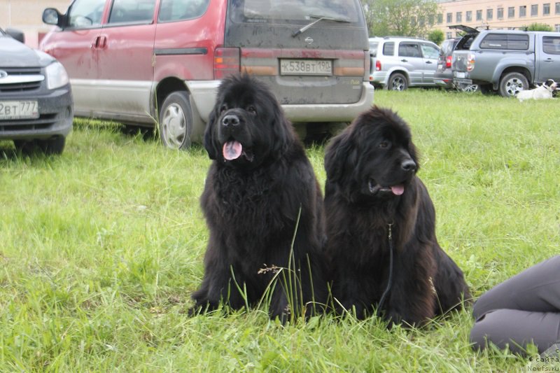 Фотография № 226628