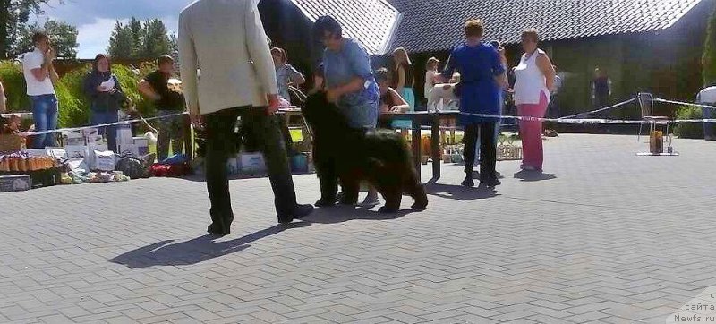 Фотография № 226654