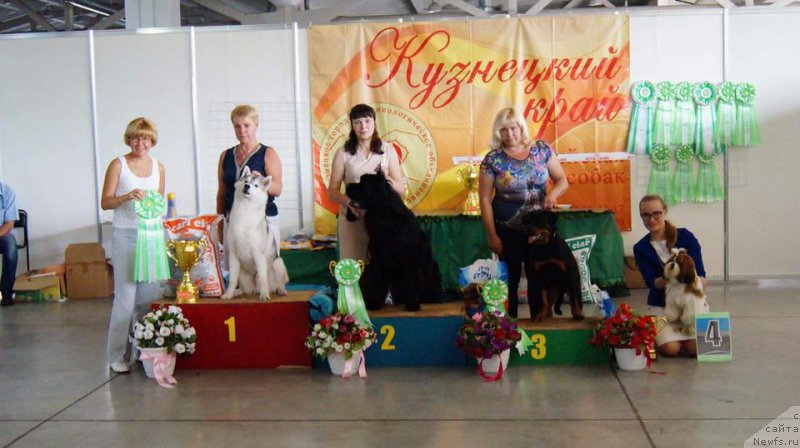 Фотография № 226667