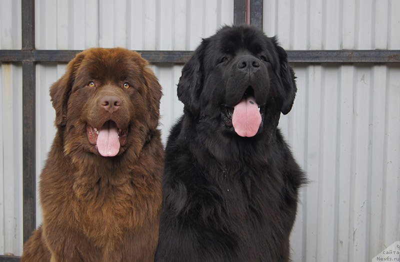 Фотография № 226669