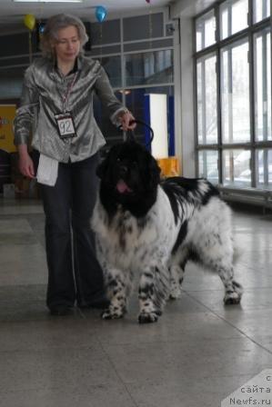 Фотография № 22667