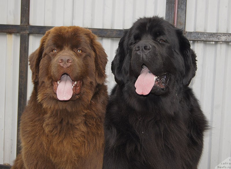 Фотография № 226670