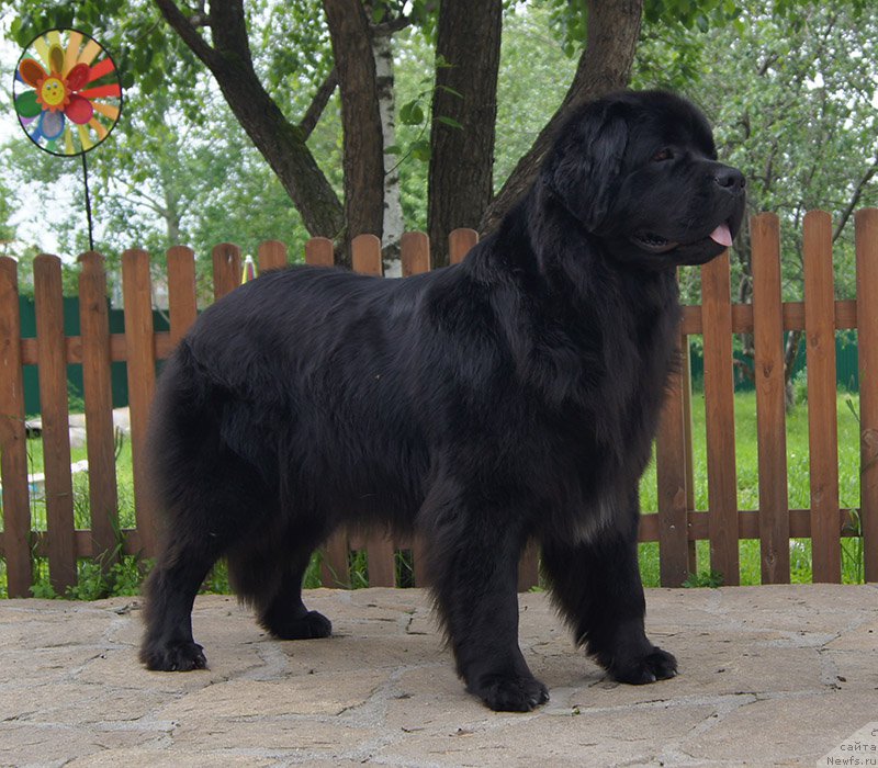 Фотография № 226673