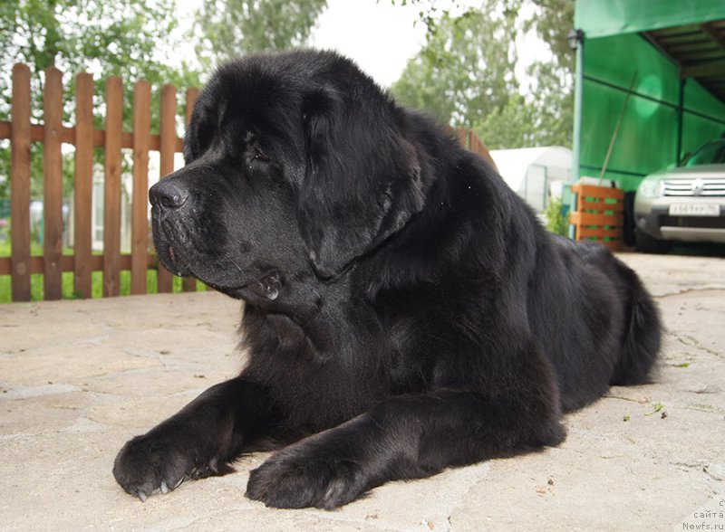 Фотография № 226674