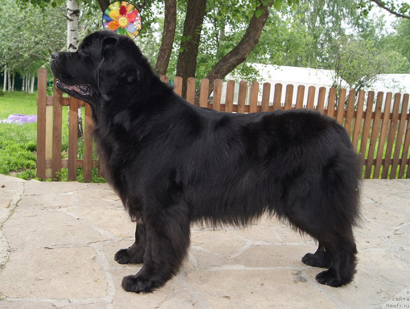 Фотография № 226675