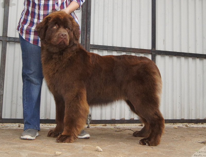 Фотография № 226680