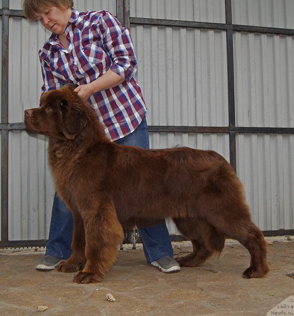 Фотография № 226681