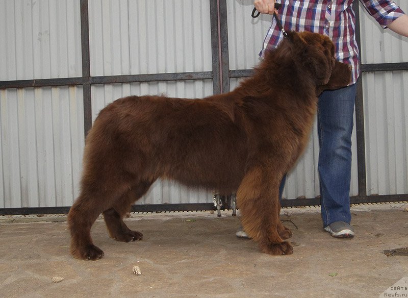 Фотография № 226683