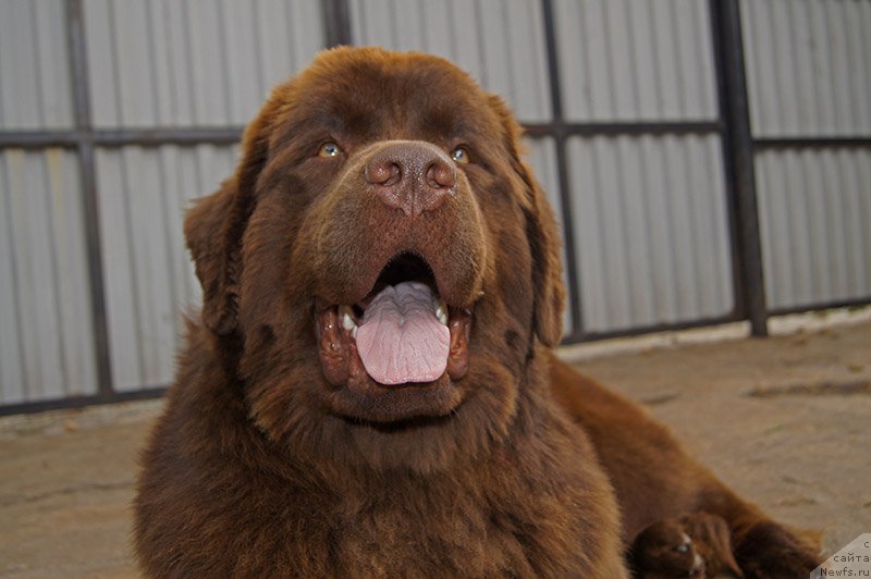 Фотография № 226685