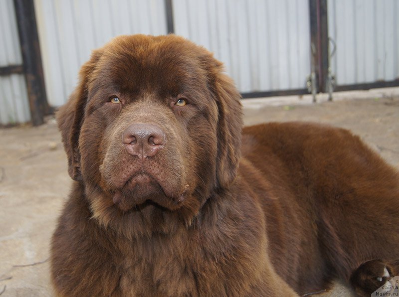 Фотография № 226686