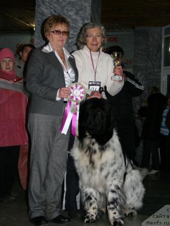 Фотография № 22669