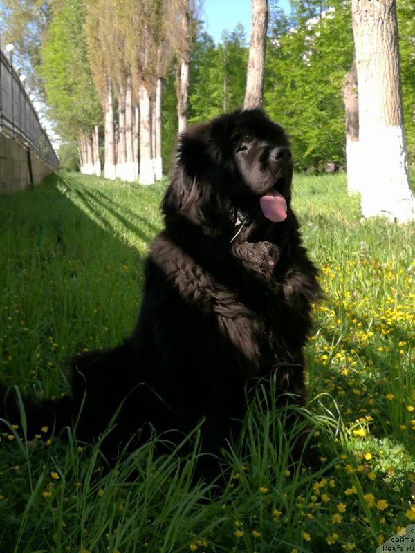 Фотография № 226694