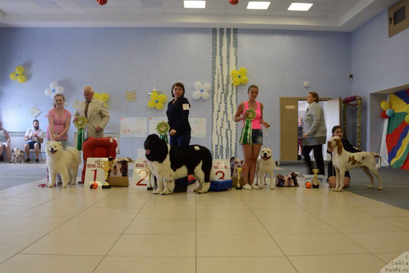 Фотография № 226705