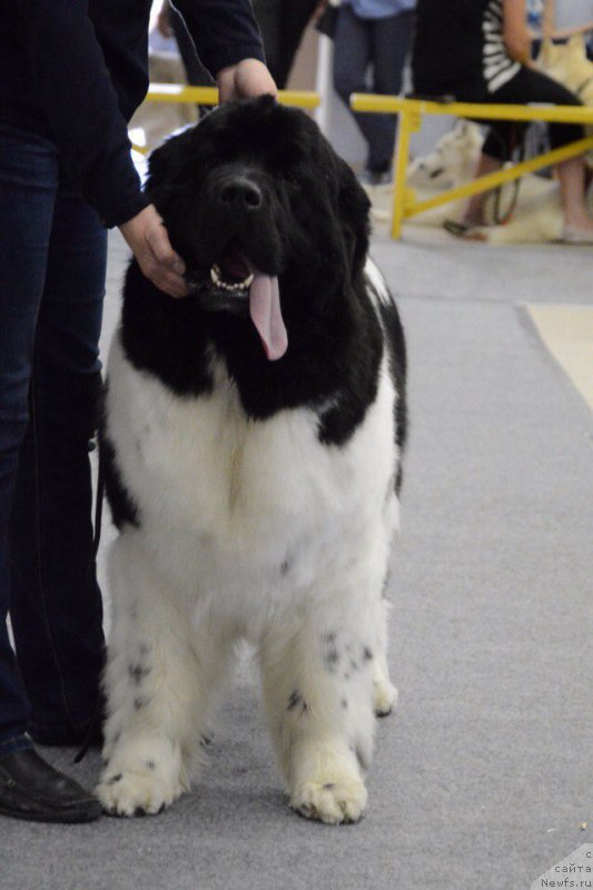 Фотография № 226708