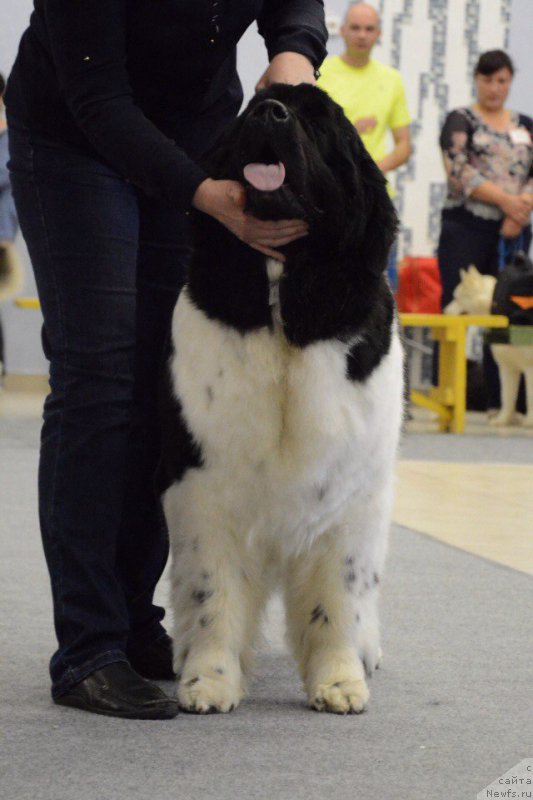 Фотография № 226710