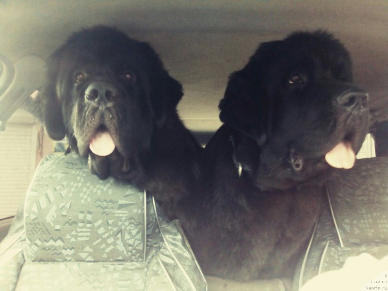 Фотография № 226712