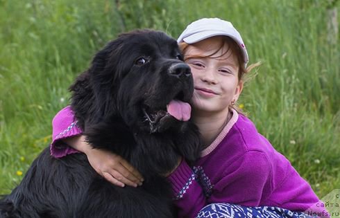 Фотография № 226728