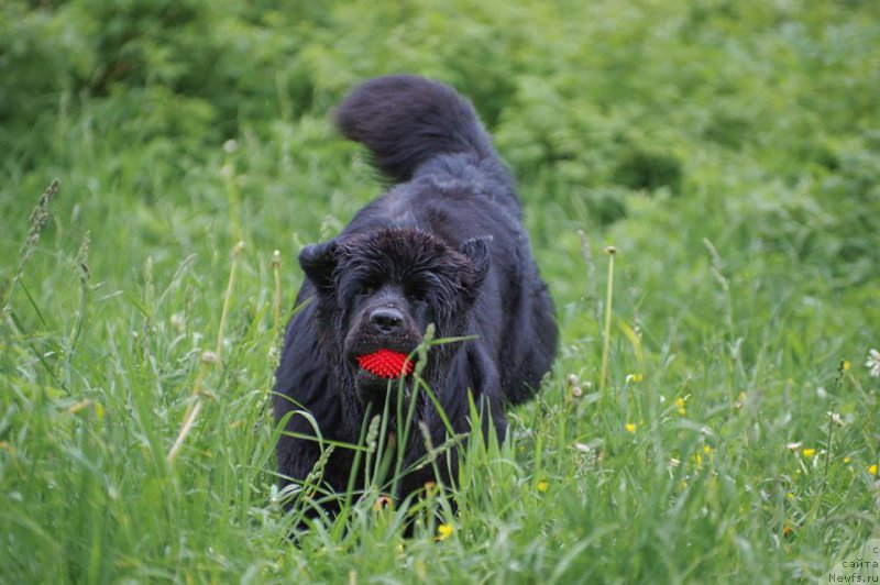 Фотография № 226729